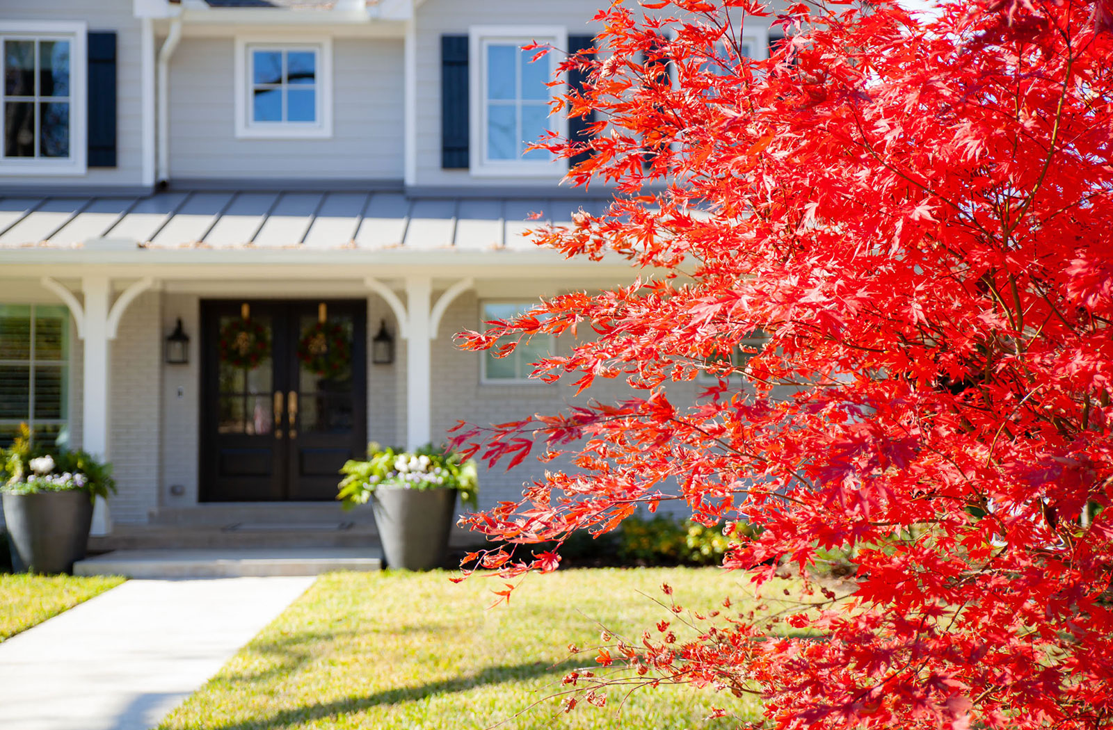Blooming Vistas Landscapes