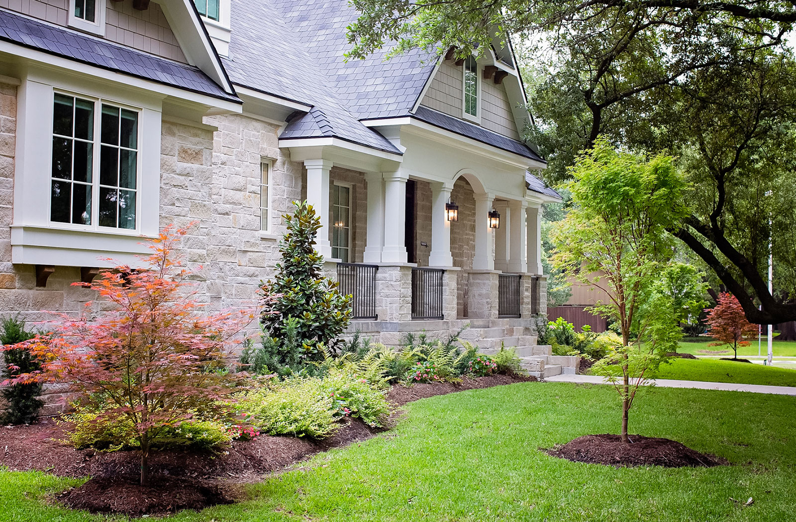 Blooming Vistas Landscapes